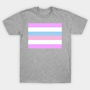 Bigender Pride Flag T-Shirt